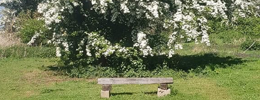 Rosebay Camping & Self Catering Units - Main photo